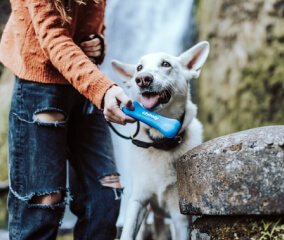 Home Covid 19 Contagion Img Card 1